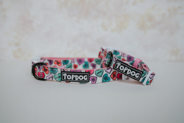 Love Bug – Dog collar